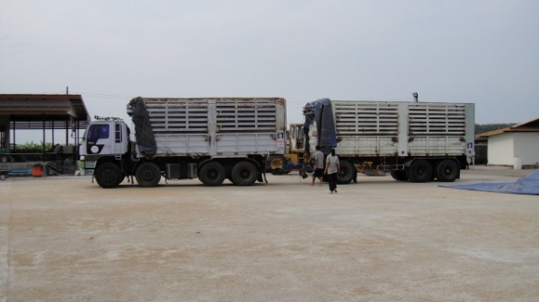 ขายรถบรรทุกพ่วง 24 ล้อ Hino 2K สภาพพร้อมใช้  ขอแก้ไข ขายเฉพาะตัวแม่ 1.8 ล้าน