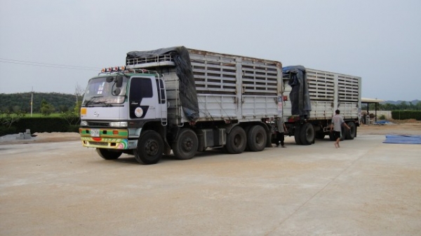 ขายรถบรรทุกพ่วง 24 ล้อ Hino 2K สภาพพร้อมใช้  ขอแก้ไข ขายเฉพาะตัวแม่ 1.8 ล้าน