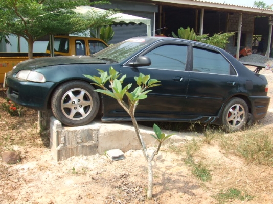 ขายซีวิค   B20B  ติดแก๊ส LPG   2  ระบบ  ลงเล่มแล้วครับ