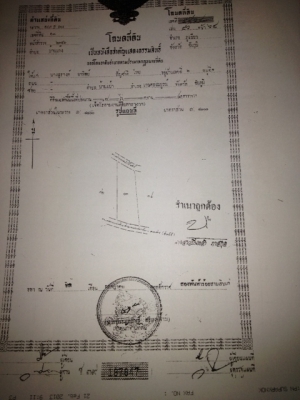 ที่ดิน 7 ไร่ 3 งาน 60 ตารางวา
