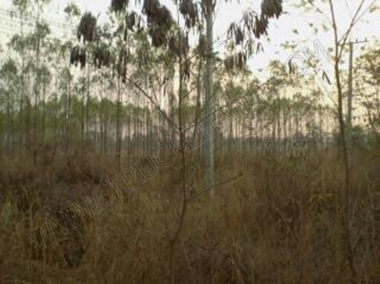 ที่ดิน 7 ไร่ 3 งาน 60 ตารางวา