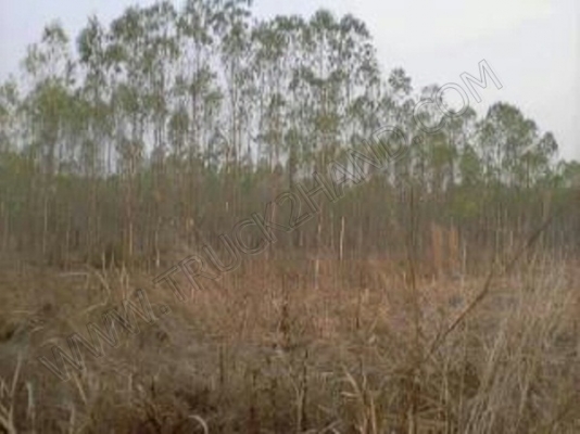 ที่ดิน 7 ไร่ 3 งาน 60 ตารางวา