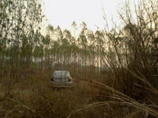 ที่ดิน 7 ไร่ 3 งาน 60 ตารางวา