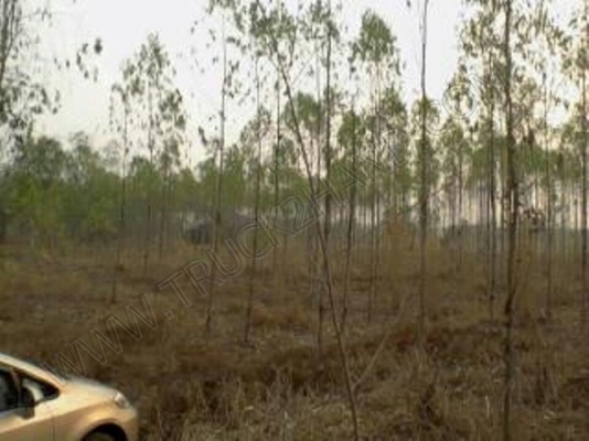 ที่ดิน 7 ไร่ 3 งาน 60 ตารางวา