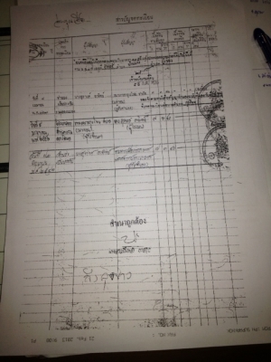 ที่ดิน 7 ไร่ 3 งาน 60 ตารางวา