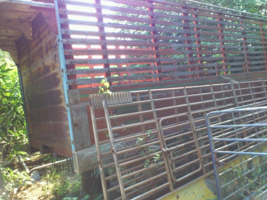 กระบะรถ 10