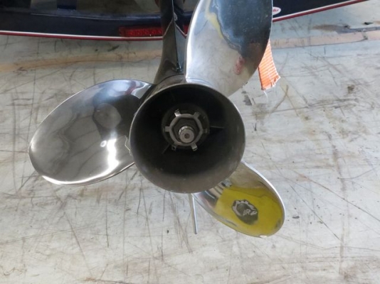 !!ขายเรือมือสอง Baja ปี 2008 วิ่งเพียง 30 ชม.!! !!ขายเรือมือสอง Baja ปี 2008 วิ่งเพียง 30 ชม.!!