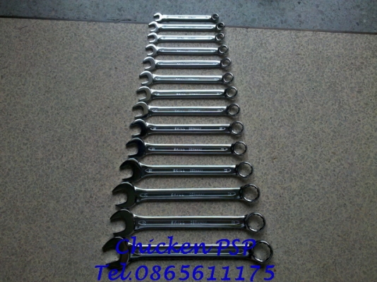 ชุดประแจแหวนข้างปากตาย SKILL - Germany 14 ตัว/ชุด ขนาดตั้งแต่ 8 - 24 mm. ชุดประแจแหวนข้างปากตาย SKILL - Germany 14 ตัว/ชุด ขนาดตั้งแต่ 8 - 24 mm.