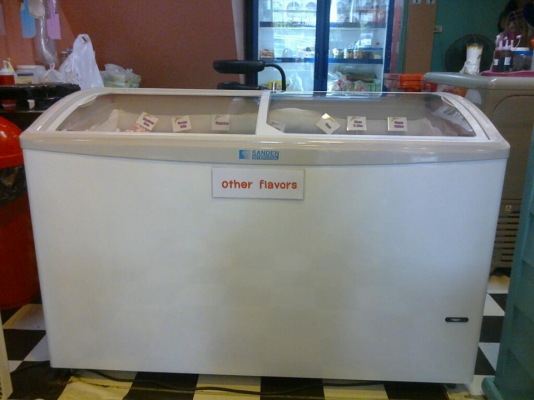 ขายตู้แช่ไอศกรีม รุ่น SNC-0403D 12A