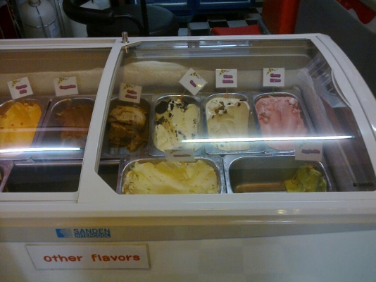 ขายตู้แช่ไอศกรีม รุ่น SNC-0403D 12A