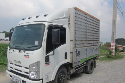 ขายรถ Isuzu ขายรถ Isuzu