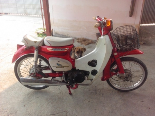 ขาย c70 เครื่องเวฟ110 สีดีราคาไม่แพง