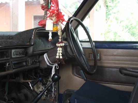 ขายม้ากระโดดสักตัว 56000