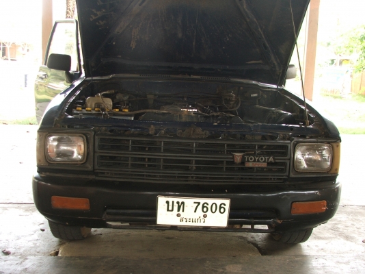 ขายม้ากระโดดสักตัว 56000