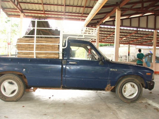 ขายม้ากระโดดสักตัว 56000