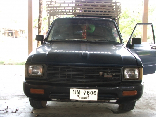 ขายม้ากระโดดสักตัว 56000