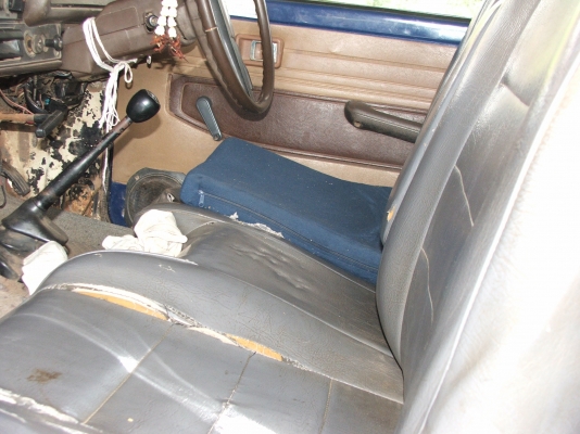 ขายม้ากระโดดสักตัว 56000