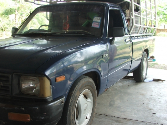 ขายม้ากระโดดสักตัว 56000