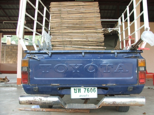 ขายม้ากระโดดสักตัว 56000