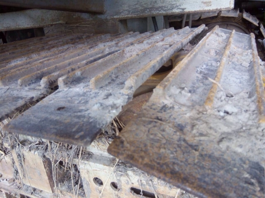 ขายโซ่ติดใบd2