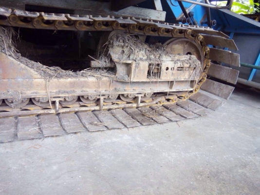 ขายโซ่ติดใบd2