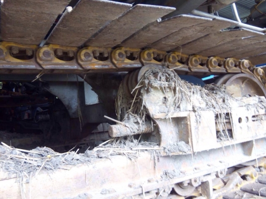 ขายโซ่ติดใบd2