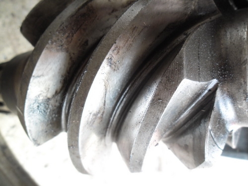 -ขายแล้ว-