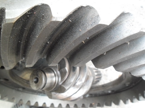 -ขายแล้ว-