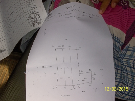 ขอนอกประเด็นหน่อย ขายที่ดิน โฉนด อ.กันทรลักษ์ เหมาะปลูกสร้างเป็นหมู่บ้าน