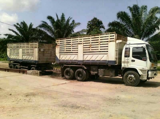 Isuzu 320 แม่-ลูก ปี51ติดต่อ080-1405528