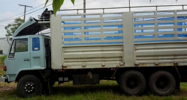 จองแล้วครับ (จบกลางอากาศ) ครับท่าน อีซูซุ FVM195แรง1เพา แอร์ พาเวอร์ ทิฟฟี สภาพสวยบางเดิมพร้อมใช้งาน ทะเบียนพร้อมโอน ราคา 485,000บ เบาๆ รับประกันสภาพดีเดิมสวยๆ ครับ จองแล้วครับ (จบกลางอากาศ) ครับท่าน อีซูซุ FVM195แรง1เพา แอร์ พาเวอร์ ทิฟฟี สภาพสวยบางเดิมพร้อมใช้งาน ทะเบียนพร้อมโอน ราคา 485,000บ เบาๆ รับประกันสภาพดีเดิมสวยๆ ครับ