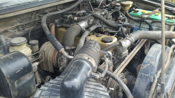 รถปิ๊กอัพ2ประตู อิซูซุ จดทะเบียนปี46 เครื่อง3000 โฟร์วิล รถปิ๊กอัพ2ประตู อิซูซุ จดทะเบียนปี46 เครื่อง3000 โฟร์วิล