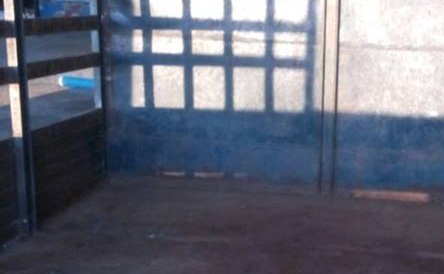 **85,000 บ.ต่อรอง /// รถเกษตร แต๋น4ล้อ/แต๋นซิ่ง ต่อใหม่ พร้อมใช้งาน **ขาย แต๋น4ล้อ/แต๋นซิ่ง รถบรรทุกเกษตร ต่อใหม่ ช่วงล่างแกร่ง พร้อมใช้งาน แต๋น4ล้อ/แต๋นซิ่ง ต่อใหม่ เครื่อง/เกียร์/โครง รถตู้ TOYOTA เครื่องยนต์ดีเซล 2L 2.5 แน่น แรงดี อึด เกียร์ดีไม่มีหลุด **85,000 บ.ต่อรอง /// รถเกษตร แต๋น4ล้อ/แต๋นซิ่ง ต่อใหม่ พร้อมใช้งาน **ขาย แต๋น4ล้อ/แต๋นซิ่ง รถบรรทุกเกษตร ต่อใหม่ ช่วงล่างแกร่ง พร้อมใช้งาน แต๋น4ล้อ/แต๋นซิ่ง ต่อใหม่ เครื่อง/เกียร์/โครง รถตู้ TOYOTA เครื่องยนต์ดีเซล 2L 2.5 แน่น แรงดี อึด เกียร์ดีไม่มีหลุด