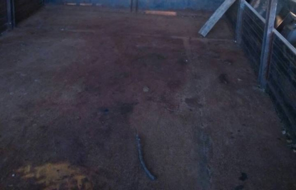 **85,000 บ.ต่อรอง /// รถเกษตร แต๋น4ล้อ/แต๋นซิ่ง ต่อใหม่ พร้อมใช้งาน **ขาย แต๋น4ล้อ/แต๋นซิ่ง รถบรรทุกเกษตร ต่อใหม่ ช่วงล่างแกร่ง พร้อมใช้งาน แต๋น4ล้อ/แต๋นซิ่ง ต่อใหม่ เครื่อง/เกียร์/โครง รถตู้ TOYOTA เครื่องยนต์ดีเซล 2L 2.5 แน่น แรงดี อึด เกียร์ดีไม่มีหลุด **85,000 บ.ต่อรอง /// รถเกษตร แต๋น4ล้อ/แต๋นซิ่ง ต่อใหม่ พร้อมใช้งาน **ขาย แต๋น4ล้อ/แต๋นซิ่ง รถบรรทุกเกษตร ต่อใหม่ ช่วงล่างแกร่ง พร้อมใช้งาน แต๋น4ล้อ/แต๋นซิ่ง ต่อใหม่ เครื่อง/เกียร์/โครง รถตู้ TOYOTA เครื่องยนต์ดีเซล 2L 2.5 แน่น แรงดี อึด เกียร์ดีไม่มีหลุด