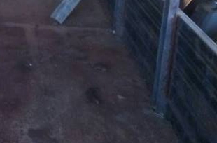 **85,000 บ.ต่อรอง /// รถเกษตร แต๋น4ล้อ/แต๋นซิ่ง ต่อใหม่ พร้อมใช้งาน **ขาย แต๋น4ล้อ/แต๋นซิ่ง รถบรรทุกเกษตร ต่อใหม่ ช่วงล่างแกร่ง พร้อมใช้งาน แต๋น4ล้อ/แต๋นซิ่ง ต่อใหม่ เครื่อง/เกียร์/โครง รถตู้ TOYOTA เครื่องยนต์ดีเซล 2L 2.5 แน่น แรงดี อึด เกียร์ดีไม่มีหลุด **85,000 บ.ต่อรอง /// รถเกษตร แต๋น4ล้อ/แต๋นซิ่ง ต่อใหม่ พร้อมใช้งาน **ขาย แต๋น4ล้อ/แต๋นซิ่ง รถบรรทุกเกษตร ต่อใหม่ ช่วงล่างแกร่ง พร้อมใช้งาน แต๋น4ล้อ/แต๋นซิ่ง ต่อใหม่ เครื่อง/เกียร์/โครง รถตู้ TOYOTA เครื่องยนต์ดีเซล 2L 2.5 แน่น แรงดี อึด เกียร์ดีไม่มีหลุด