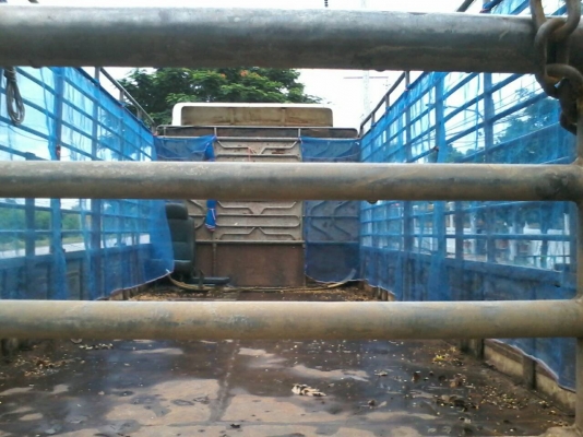 ขายMEGA500แท้FG8Jปี52เครื่อง 212แรงกระบะยาว6.50เมตร ขายMEGA500แท้FG8Jปี52เครื่อง 212แรงกระบะยาว6.50เมตร