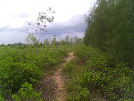 ขายที่ดินสวย