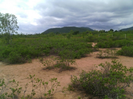 ขายที่ดินสวย