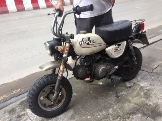MOMKEY 50 มะละกอ MOMKEY 50 มะละกอ
