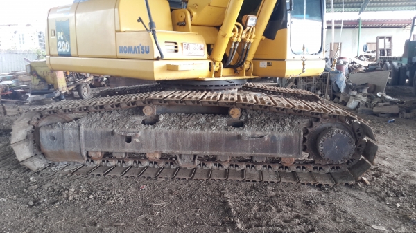 ขายโคมัสสุ 200 รุ่น7