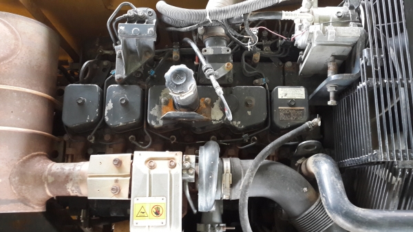 ขายโคมัสสุ 200 รุ่น7