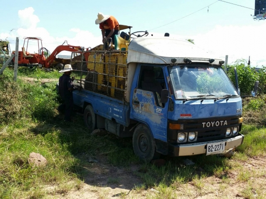 แจ้งลูกค้าครับ tractor-backhoe ได้จัดส่งรถบดดิน น้ำหนักบดอัด 5ตัน แบบหน้าเหล็กหลังยางที่สัตหีบเรียบร้อยแล้วครับ แจ้งลูกค้าครับ tractor-backhoe ได้จัดส่งรถบดดิน น้ำหนักบดอัด 5ตัน แบบหน้าเหล็กหลังยางที่สัตหีบเรียบร้อยแล้วครับ