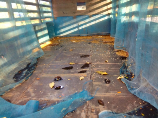 ขายรถหกล้อดั้ม ยี่ห้อ อีซูซุ NKR สภาพดี