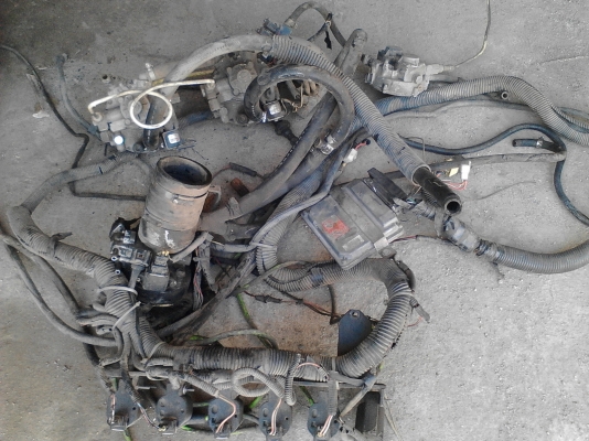 ขายถังแก้ส