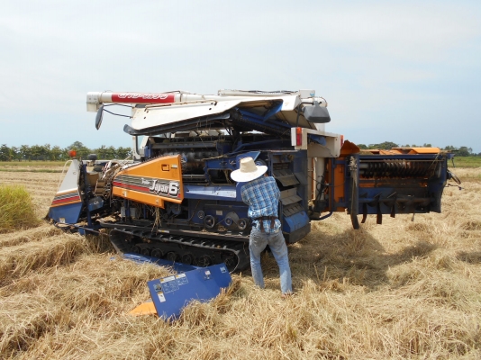 รถเกี่ยวข้าว #ISEKI JAPAN 6 มี 3 คันให้เลือก