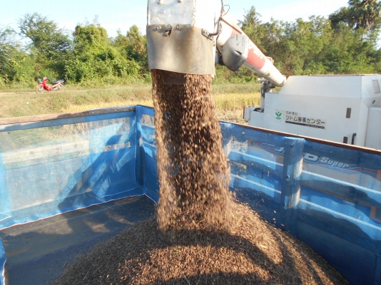 รถเกี่ยวข้าว #ISEKI JAPAN 6 มี 3 คันให้เลือก