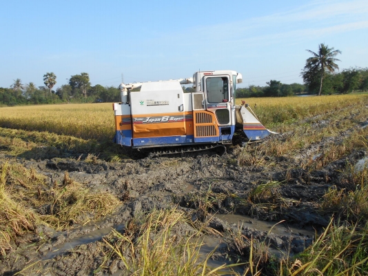 รถเกี่ยวข้าว #ISEKI JAPAN 6 มี 3 คันให้เลือก