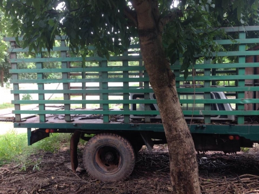 ขาย หกล้อใหญ่ ราคา 185000