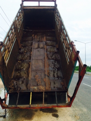 ขายรถสิบล้ออีซูซุล็อกกี้195ราคา870000บาท ขายรถสิบล้ออีซูซุล็อกกี้195ราคา870000บาท