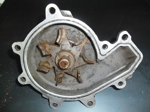 ขายแล้ว